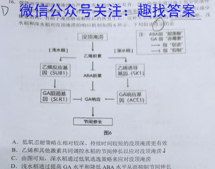 [潍坊一模]2023届潍坊市高考模拟考试(2023.2)生物