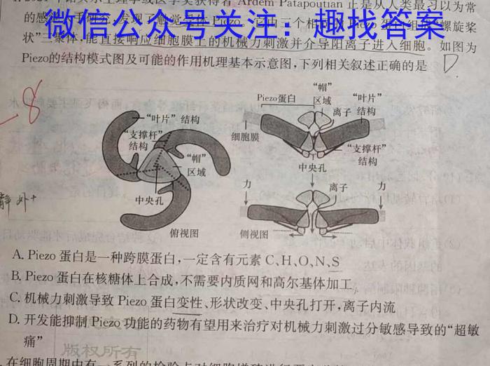 智慧上进2023届限时训练40分钟·题型专练卷(六)生物