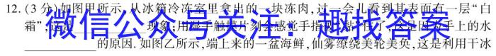 2022~2023学年度芜湖市高二上学期期末学情检测(23-261B)l物理