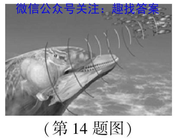 安徽师范大学附属中学2022-2023学年第一学期高一年级教学质量诊断测试物理.