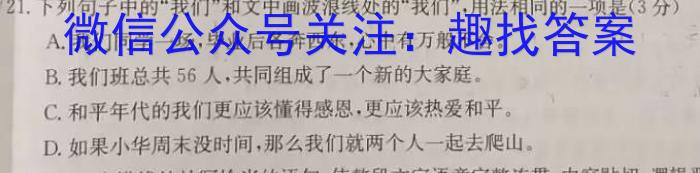 陕西省2022-2023学年九年级下学期第一次质量检测语文