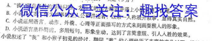江西省2023年初中学业水平考试模拟卷（二）语文