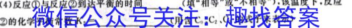 张掖市2022-2023学年高一下学期第一次全市联考化学