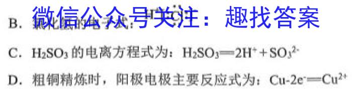 安徽第一卷·2023年九年级中考第一轮复习（九）化学