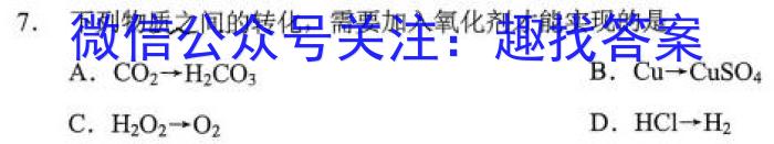 高州市2022-2023学年八年级第一学期期末质量监测化学