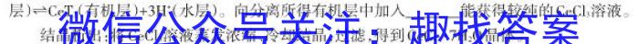 河北省2023届九年级结课质量评估（23-CZ136c）化学