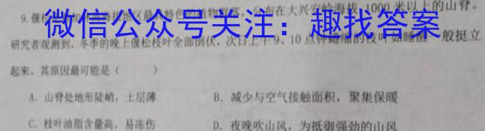 周至县2022-2023学年度高考第一次模拟考试地理