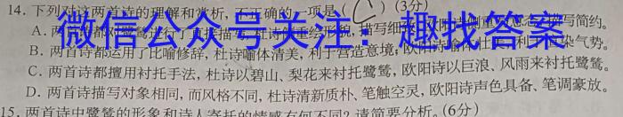 耀正文化(湖南四大名校联合编审)·2023届名校名师模拟卷(五)5语文