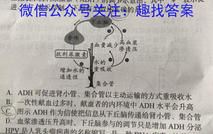 河南省豫北名校普高联考2022-2023学年高三测评(四)4生物