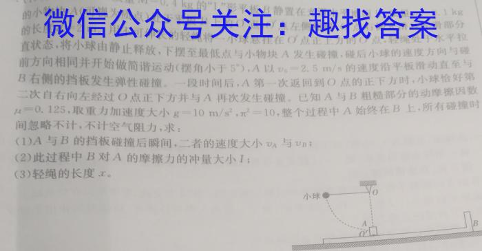 2023届九师联盟高三年级2月联考（X）物理.