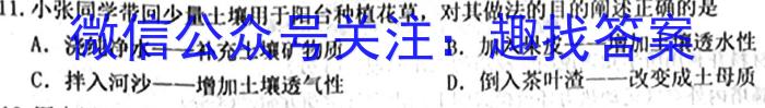 广西2023届高中毕业班2月大联考地理