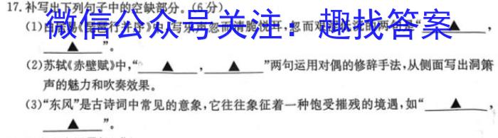 炎德英才名校联考联合体2023年春季高二第一次联考(3月)语文