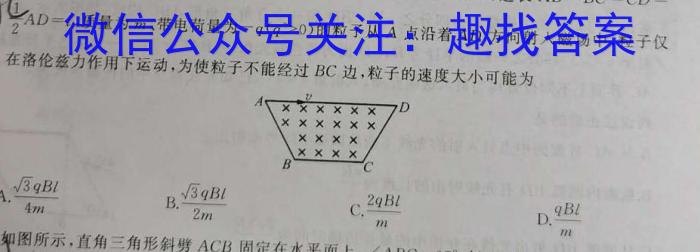 2023年2024届普通高等学校招生全国统一考试 青桐鸣高二联考(3月)物理.