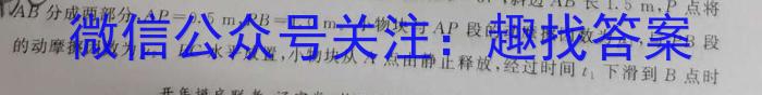 2022-2023下学年高三年级TOP二十名校二月调研考试.物理