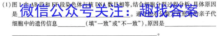 2022-2023衡水金卷先享题·月考卷下学期高三一调(新教材)生物