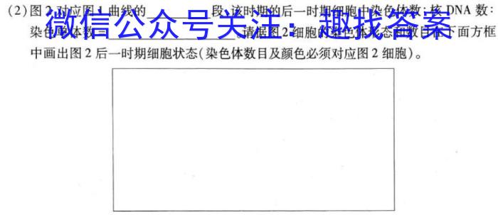 安徽第一卷·2023年九年级中考第一轮复*（十三）生物试卷答案