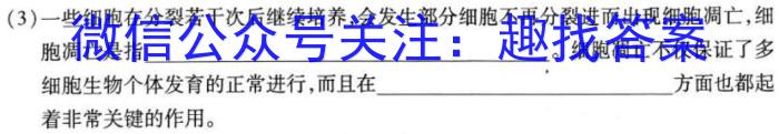 伯乐马 2023年普通高等学校招生新高考模拟考试(二)2生物