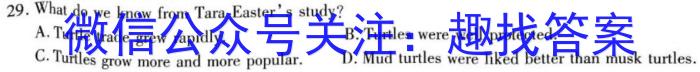 蒙城县2022-2023年度九年级第一学期义务教育教学质量检测(2月)英语