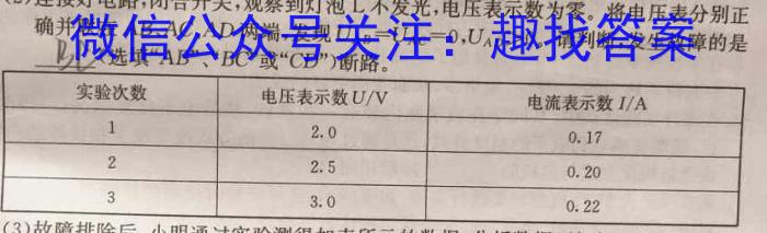 2023届陕西省九年级期末教学质量检测(23-CZ84c)f物理