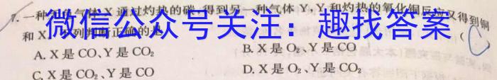 2023届九师联盟高三年级2月联考（X）化学