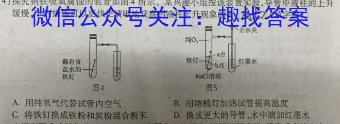 2023届高三九师联盟2月质量检测（新高考-河北）化学