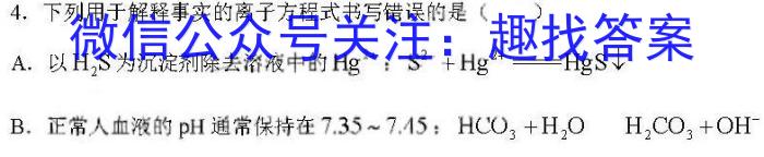 安徽第一卷·2023年九年级中考第一轮复习（四）化学