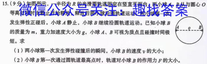 2023年普通高等学校全国统一模拟招生考试 高三新未来2月联考物理.
