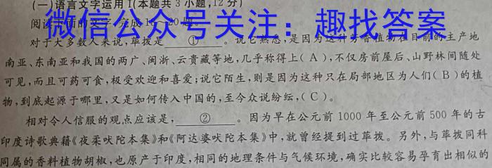 安徽省2025届同步达标自主练习·七年级第五次考试语文