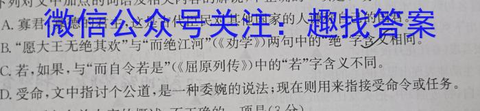 安徽省九年级2022-2023学年新课标闯关卷（十）AH语文