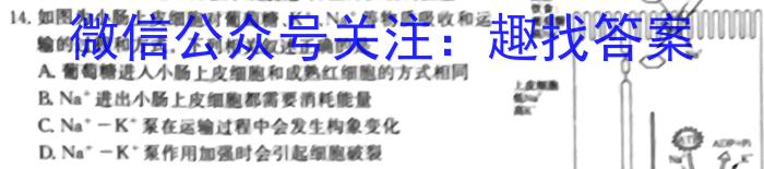 衡水金卷先享题·月考卷 2022-2023学年度下学期高三年级一调考试(老高考)生物