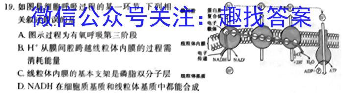 【安庆二模】2023年安庆市高三模拟考试生物