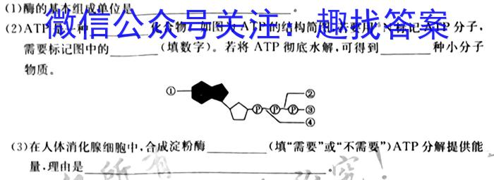 广西2023届高中毕业班2月大联考生物
