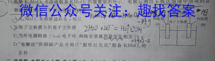 中学生标准学术能力诊断性测试2024年12月测试化学