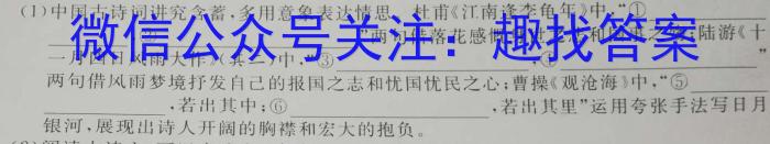 凤庆县2022-2023学年上学期九年级期末阶段性教学水平诊断监测(23-CZ70c)语文