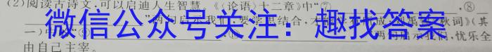 智慧上进2023届限时训练40分钟·题型专练卷(十)语文