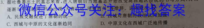 2022-2023衡水金卷先享题高考备考专项提分卷(新教材)高考大题分组练(4)试题历史