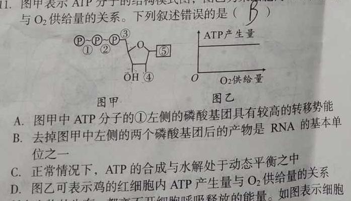 衡水金卷先享题·月考卷 2022-2023学年度下学期高三年级一调考试(老高考)生物
