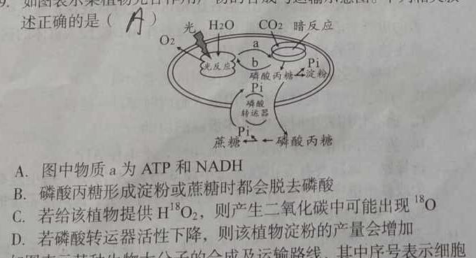 庐江县2022/2023学年度第一学期九年级期末教学质量抽测生物