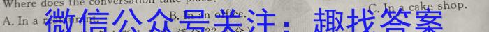 2023届安徽省淮北市高三年级第一次模拟考试英语