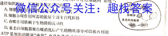 广东省2022-2023学年度高三第二学期“收心考”四校联考生物