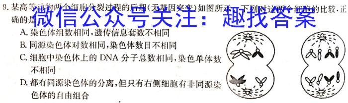 智慧上进2023届限时训练40分钟·题型专练卷(四)生物试卷答案