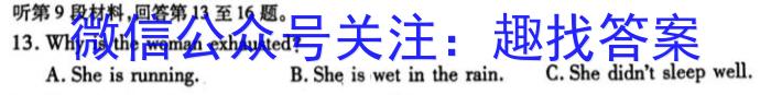 2023普通高等学校招生全国统一考试·冲刺押题卷 新教材(四)4英语