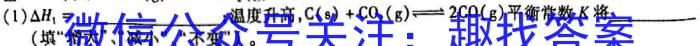 中学生标准学术能力诊断性测试2022年12月测试化学