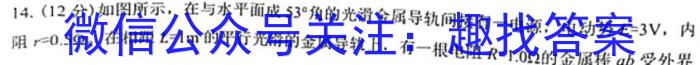 【湛江一模】湛江市2023年普通高考测试（一）物理.