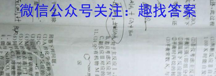 2023届高三九师联盟2月质量检测（新高考-河北）化学