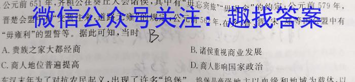 甘肃省镇原县2023年高考网上阅卷模拟考试历史
