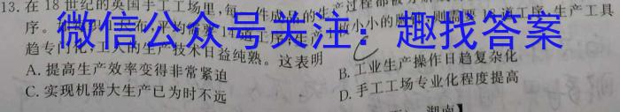 安徽第一卷·2023年九年级中考第一轮复习（十一）历史