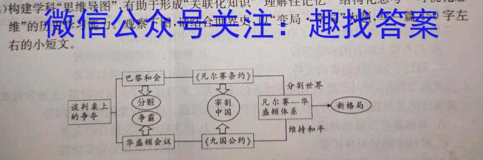 树德中学高2023届高三2月模拟检测试题历史