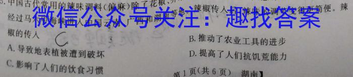 2023年普通高等学校全国统一模拟招生考试 高三新未来2月联考历史