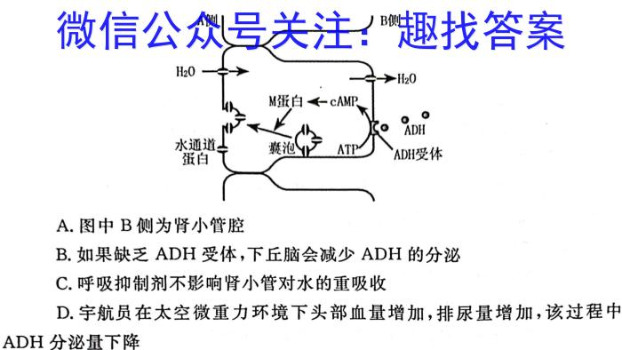 中学生标准学术能力诊断性测试2022年12月测试生物